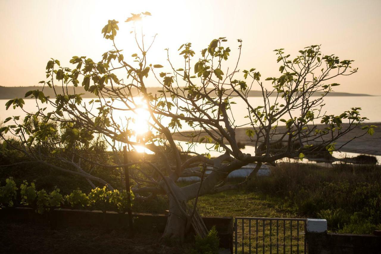 Holiday House Sunset Ljubač Екстериор снимка